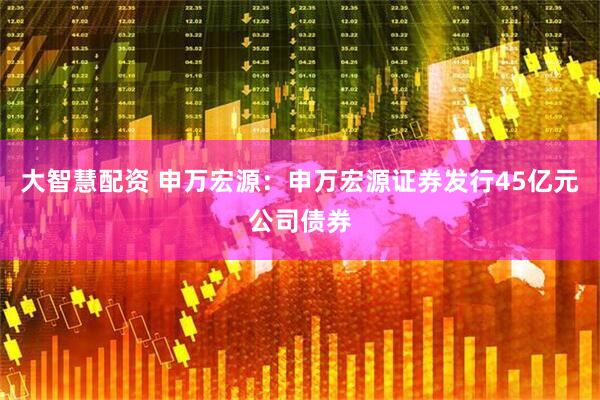大智慧配资 申万宏源：申万宏源证券发行45亿元公司债券