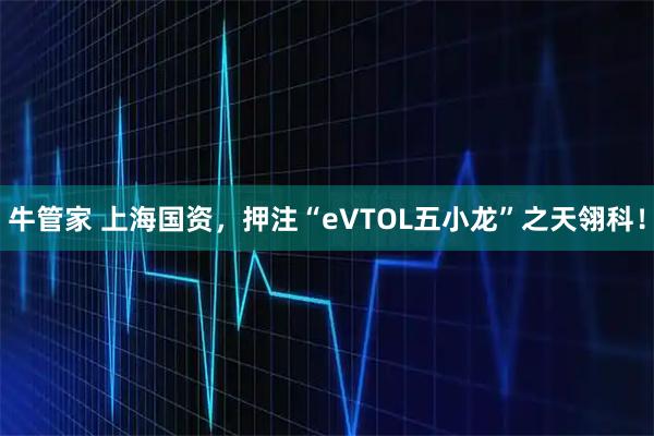 牛管家 上海国资，押注“eVTOL五小龙”之天翎科！