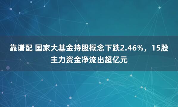 靠谱配 国家大基金持股概念下跌2.46%，15股主力资金净流出超亿元