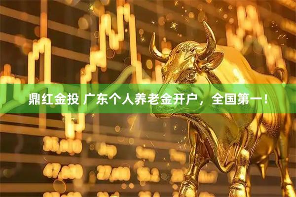 鼎红金投 广东个人养老金开户，全国第一！
